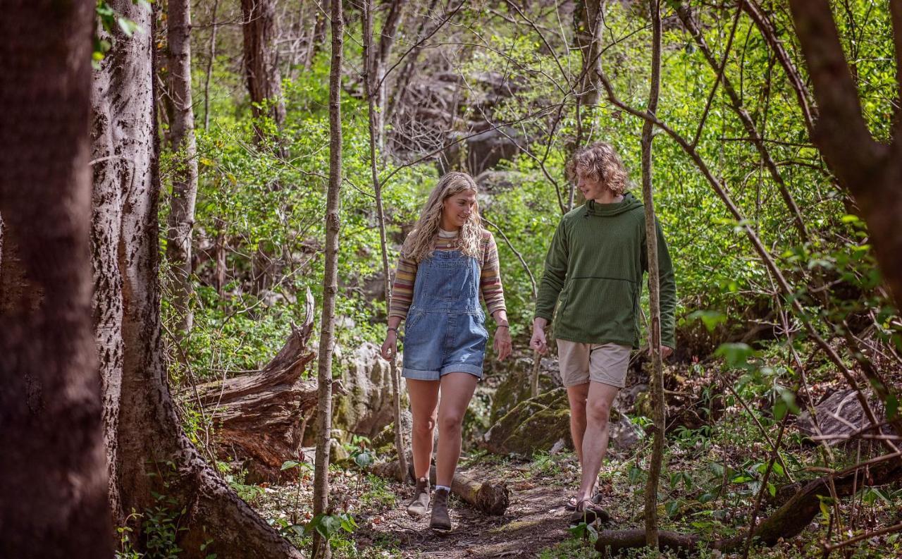 Ernie Cabin Wauhatchie Woodlands Tiny Cabin Chattanooga Luaran gambar
